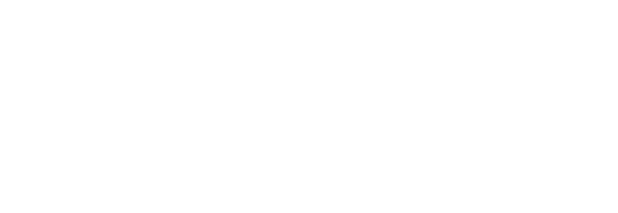 Erastova Group logo